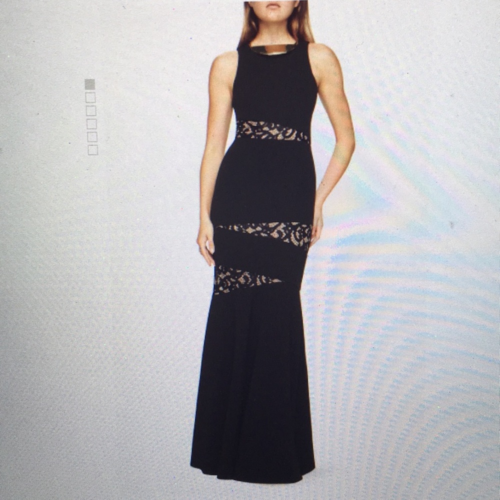 Dominique lace paneled dress by BCBG Max Azria